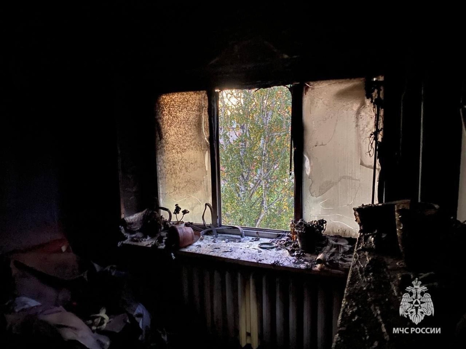 Фото: МЧС по РБ