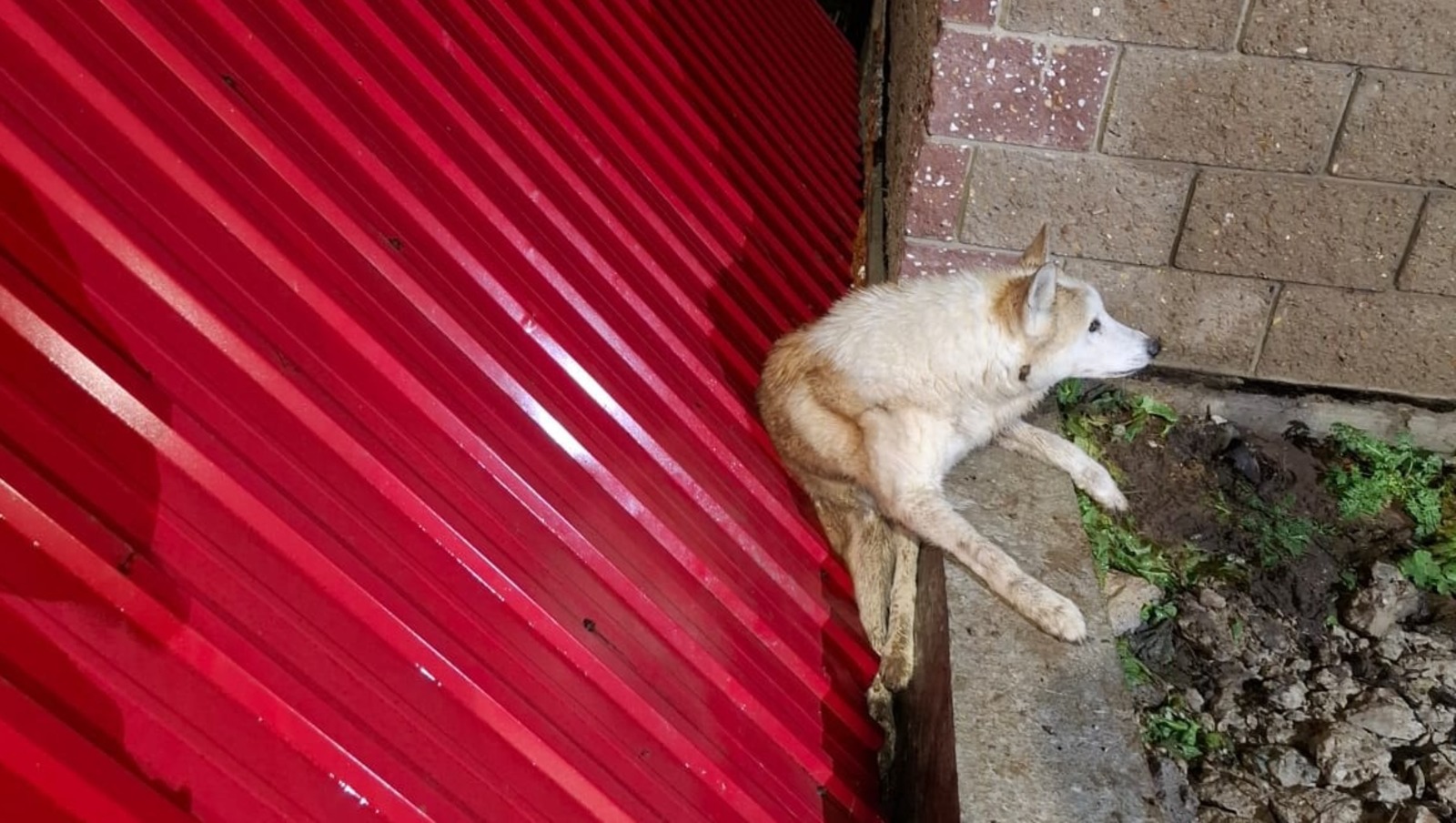 Фото: Госкомитет РБ по ЧС.