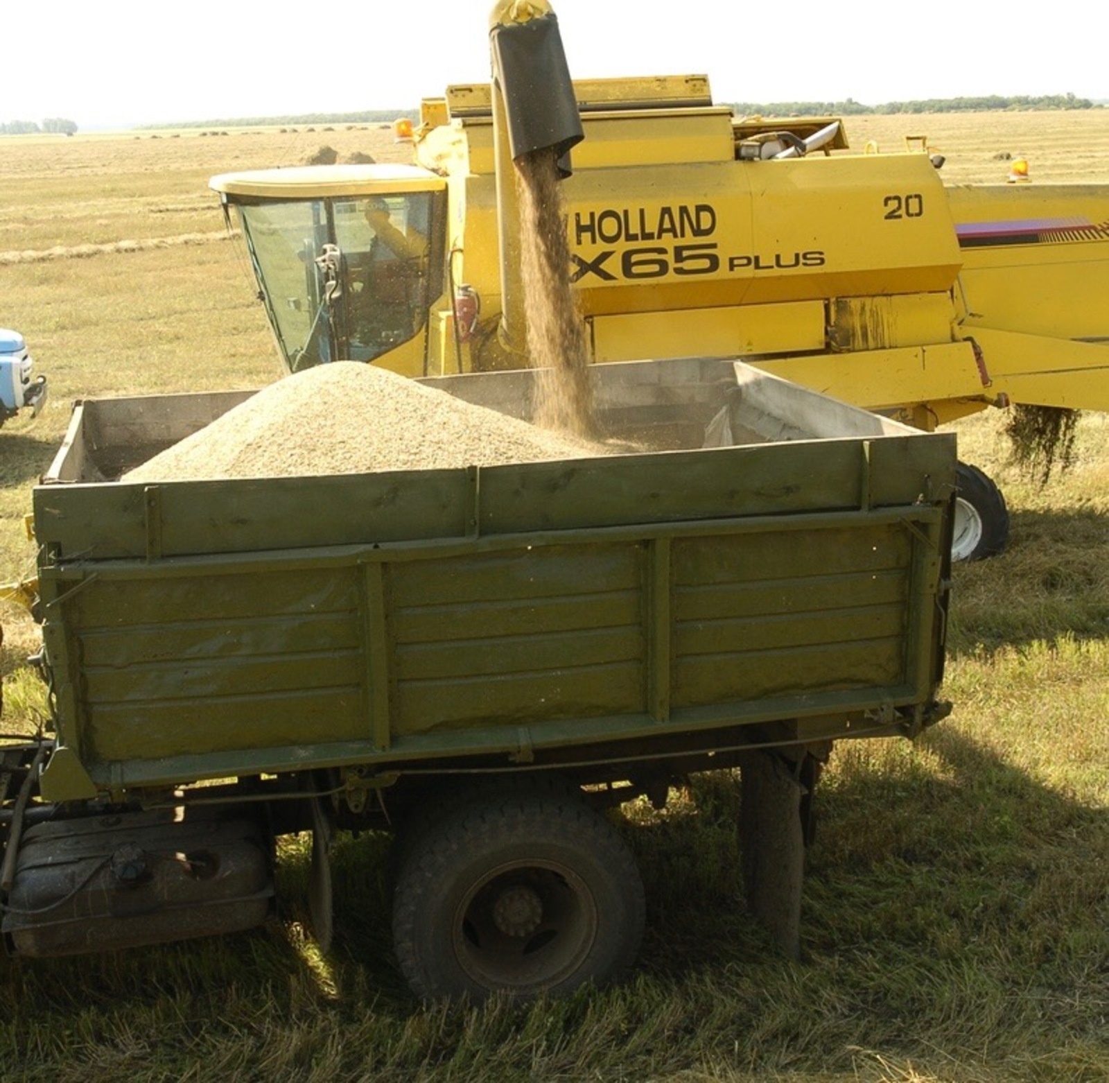 Айрат Нурмухаметов fotobank02.ru