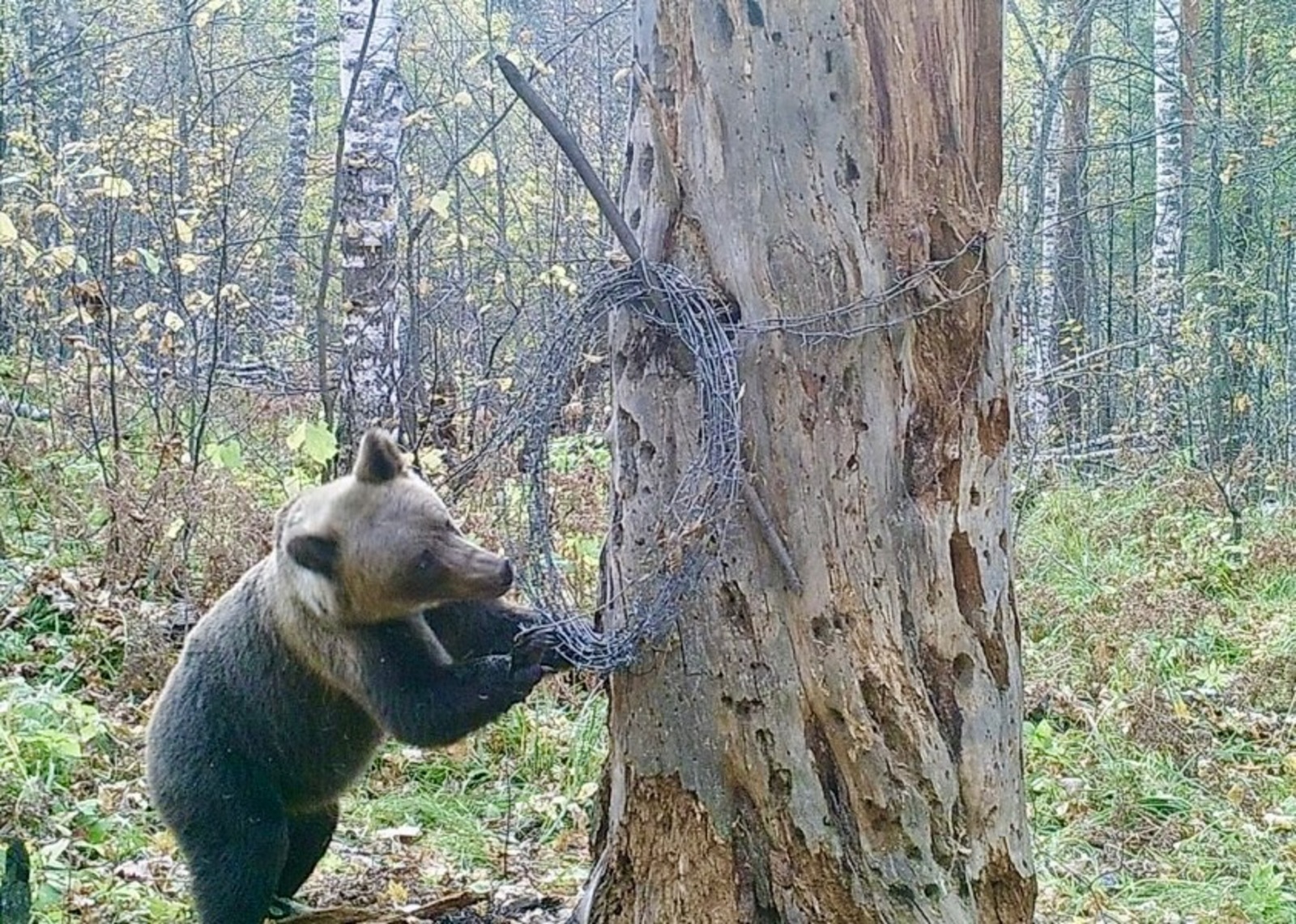 заповедник «Шульган-Таш»
