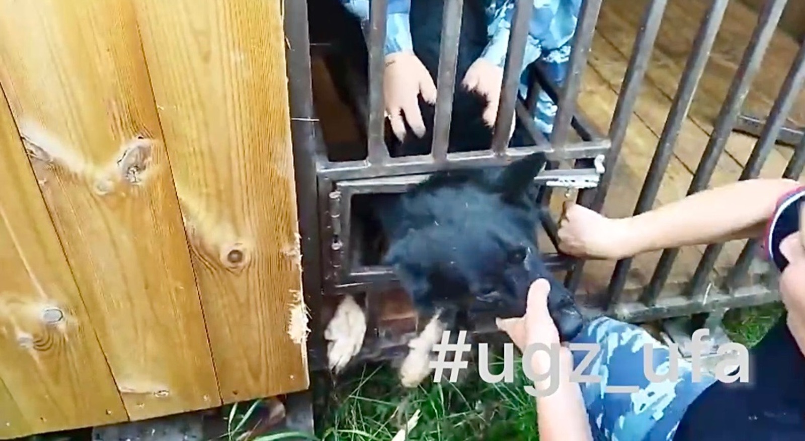 Управление гражданской защиты Уфы