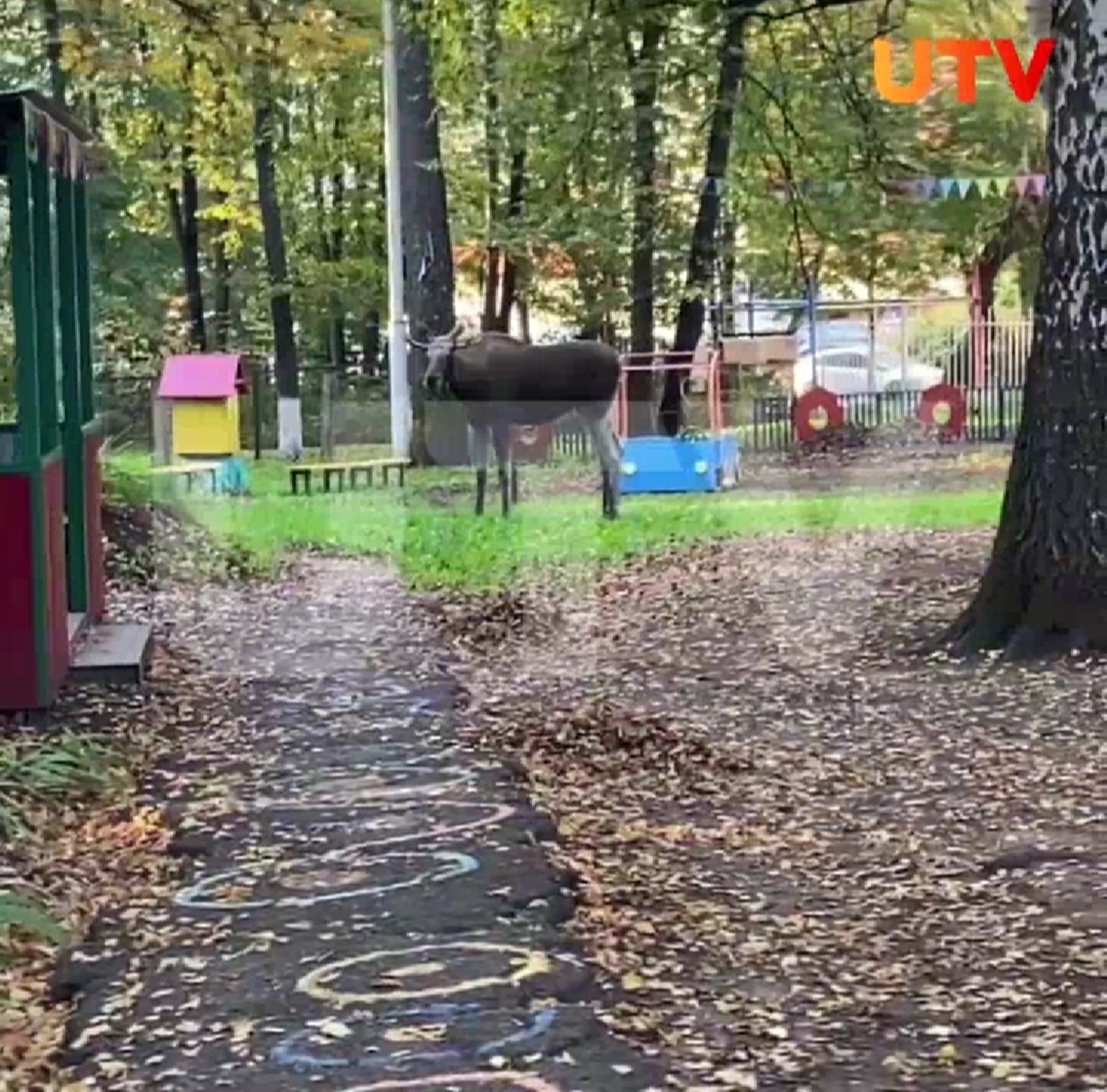 В Уфе на территории детсада гулял лось