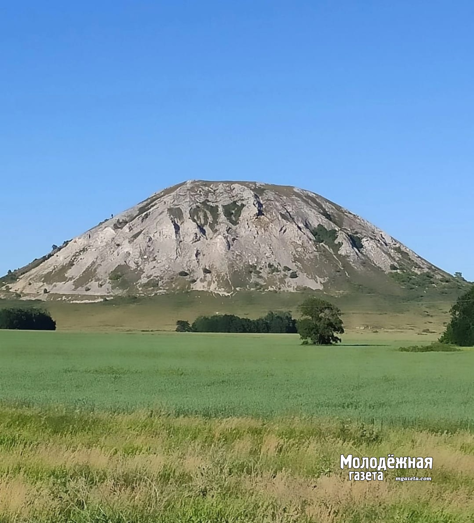 Эксперты прокомментировали вклад ученых Башкирии во внешнюю политику страны