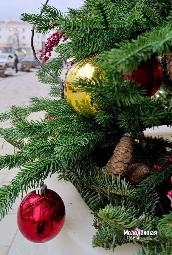 Уфимцев пригласили зажечь огни на главной ёлке города