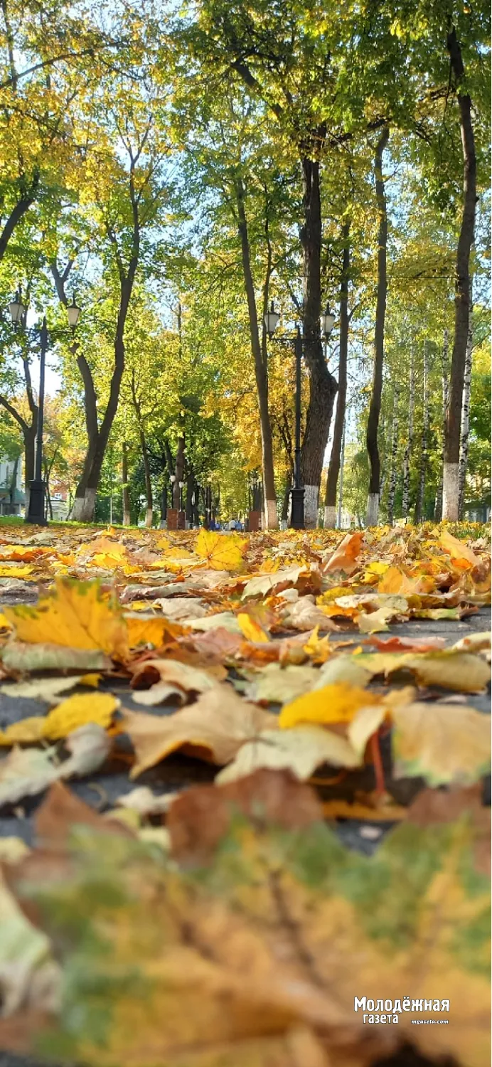 Золотая уфимская осень