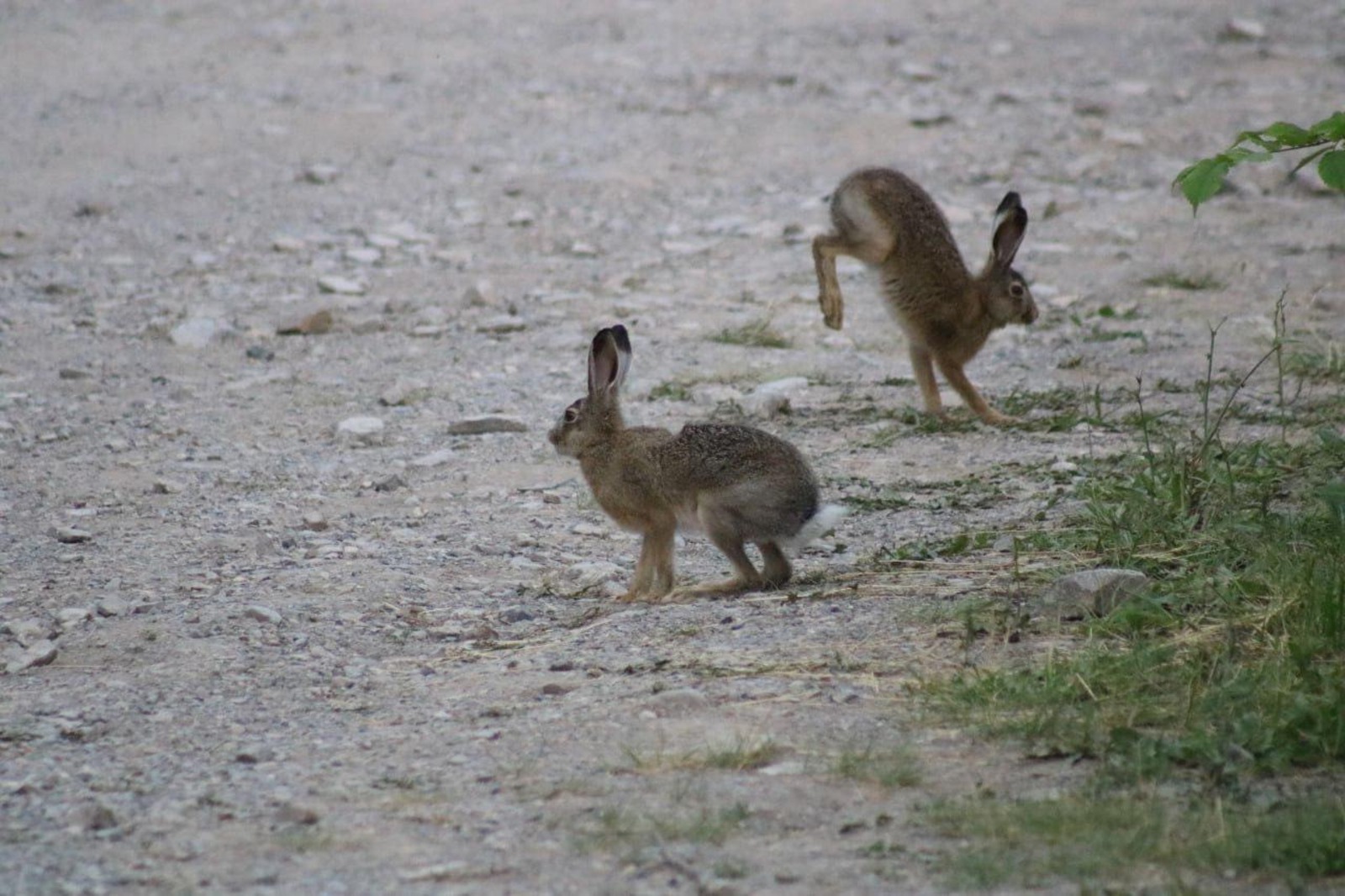 нацпарк "Башкирия"