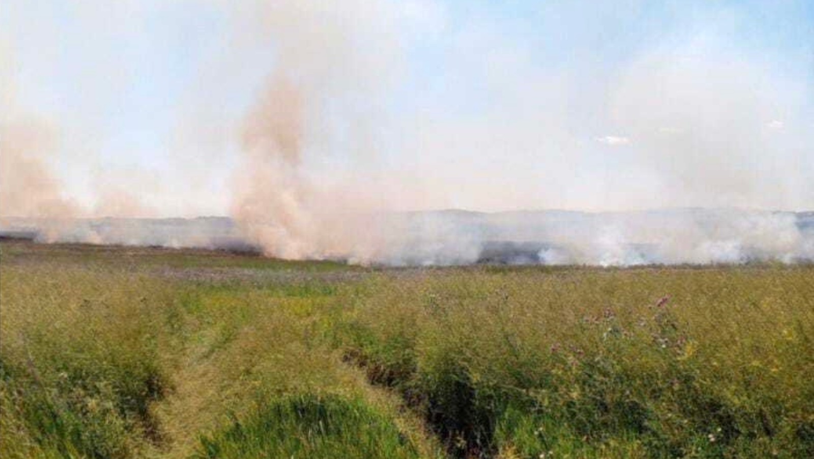 Госкомитет РБ по ЧС