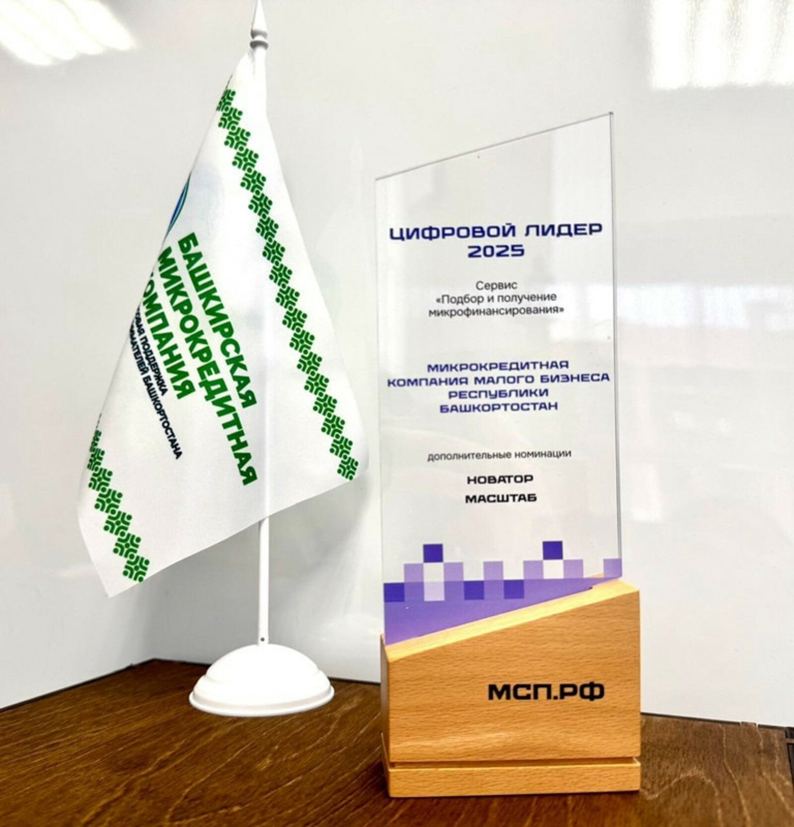 Башкортостан вошел в число лидеров по цифровой микрофинансовой поддержке