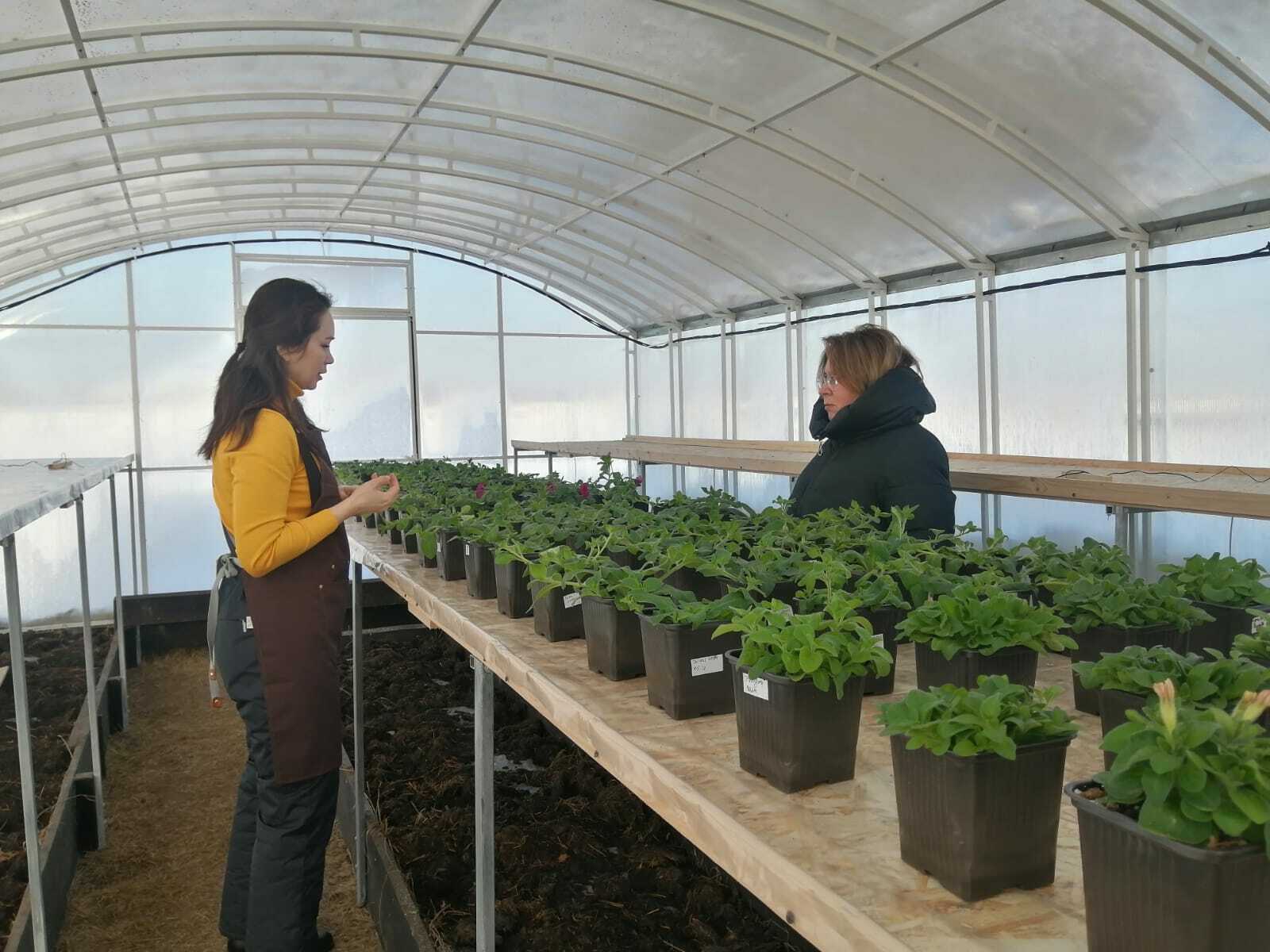 правительство Башкирии