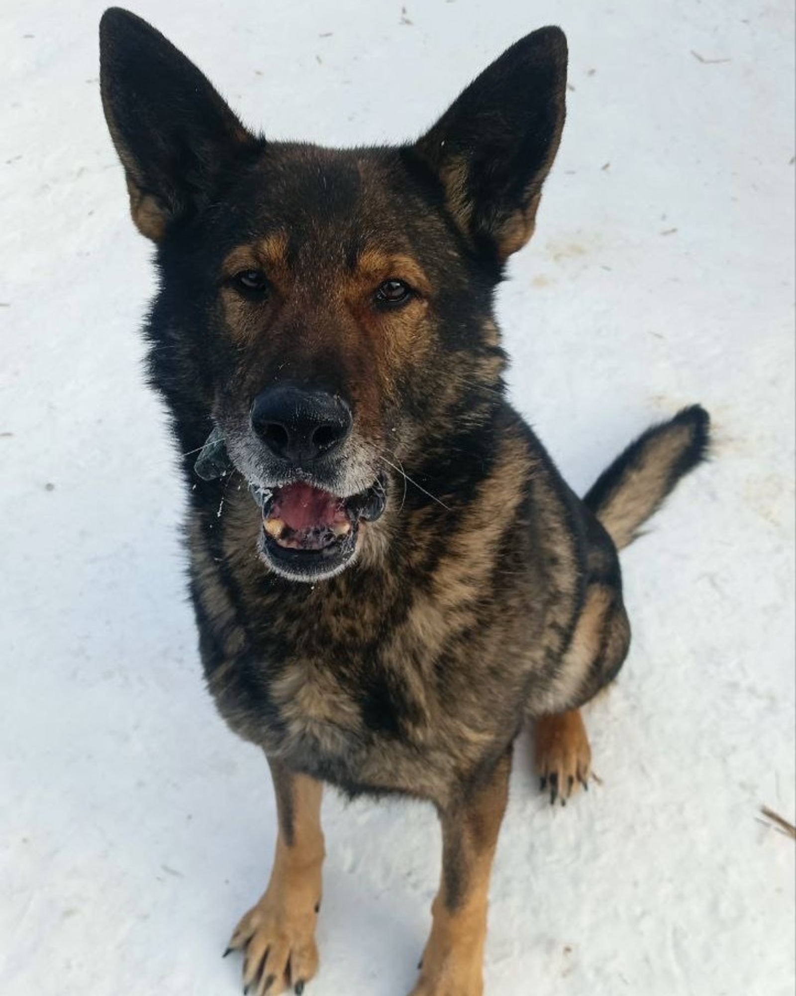 Уфимское ЛУ МВД России на транспорте