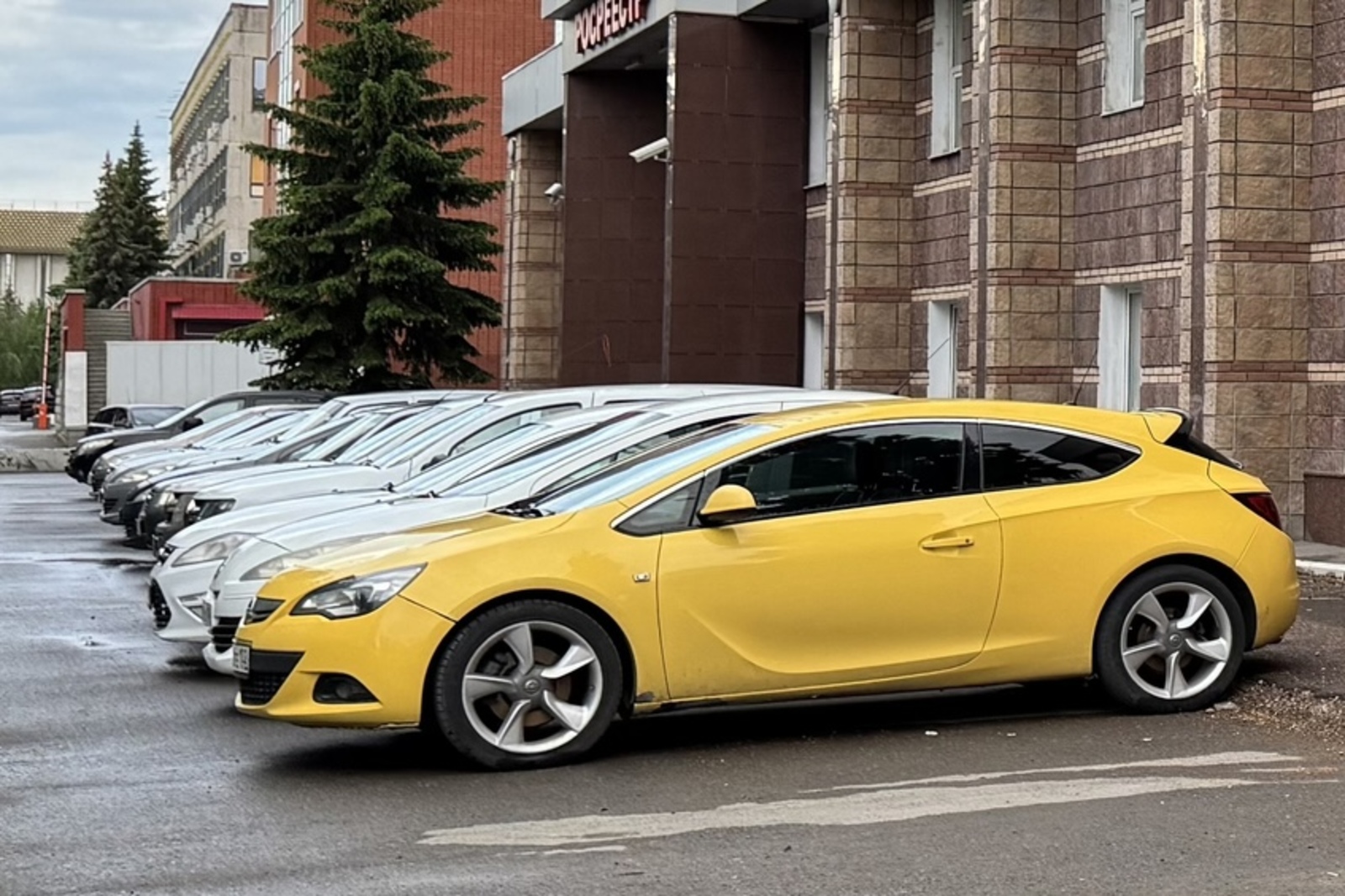 Олеся Вильданова fotobank02.ru