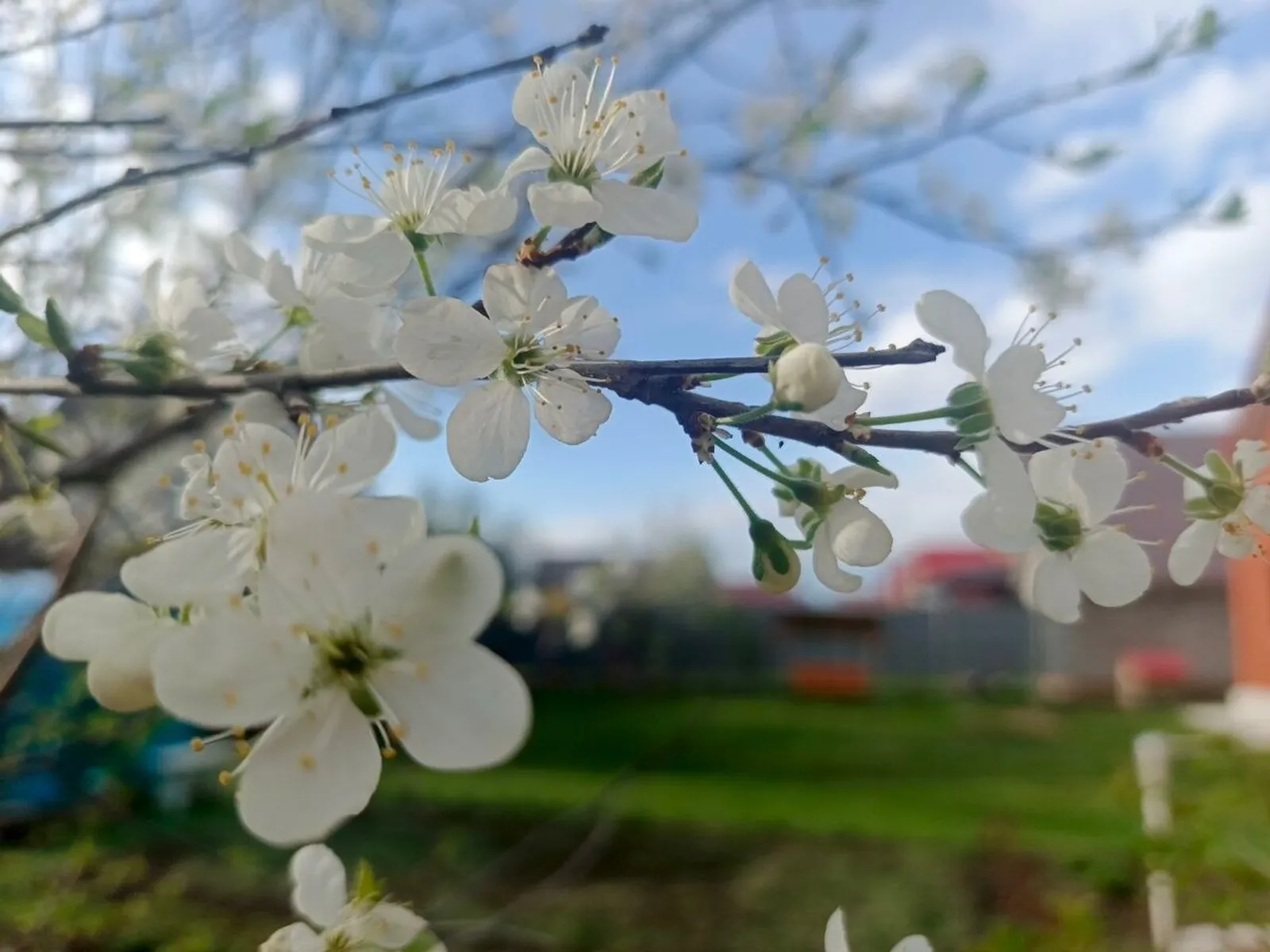 Розалия Хисаева fotobank02.ru