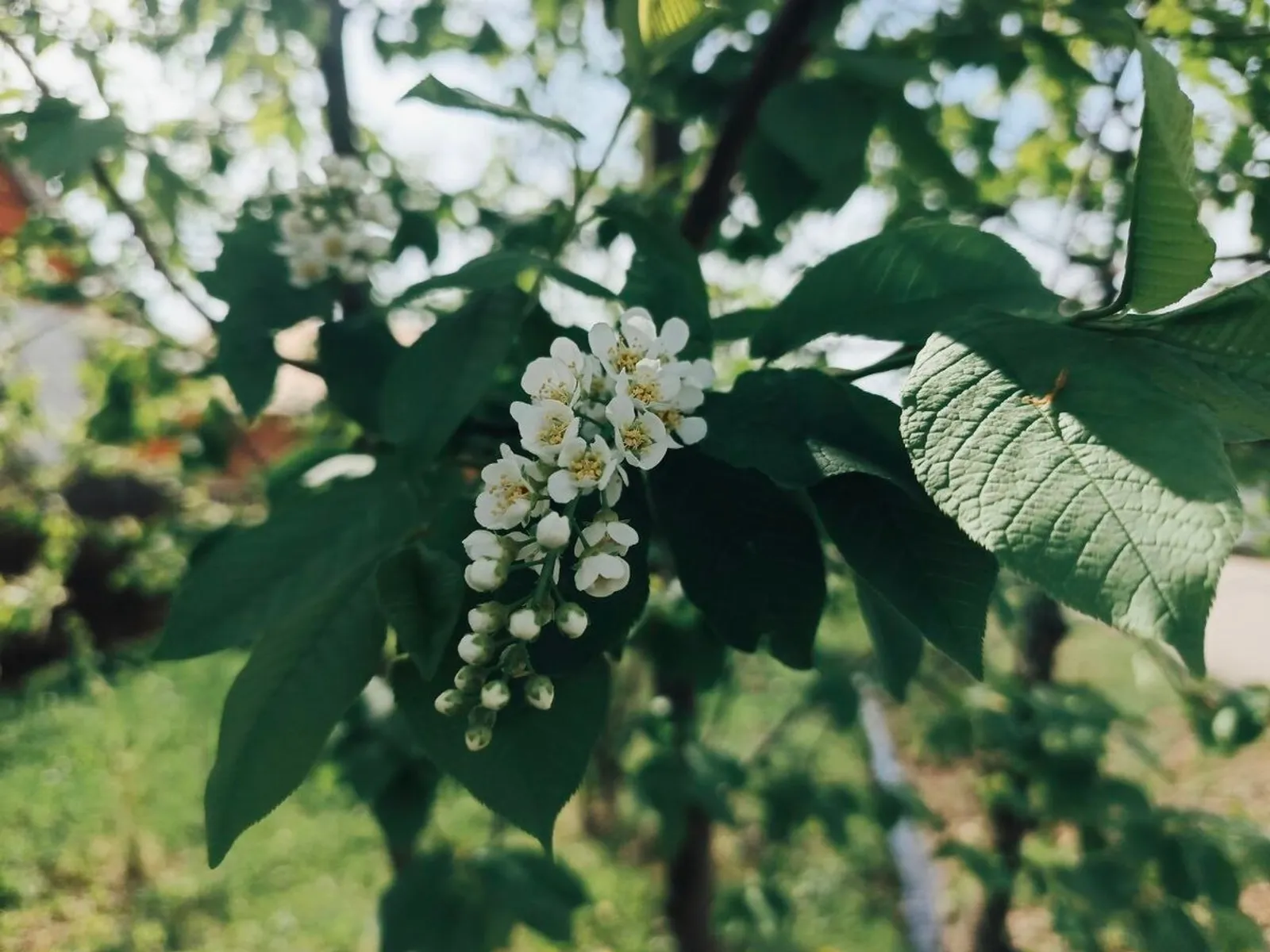 Розалия Хисаева fotobank02.ru