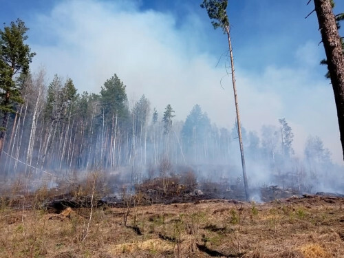 В лесах Башкирии повышается класс пожарной опасности