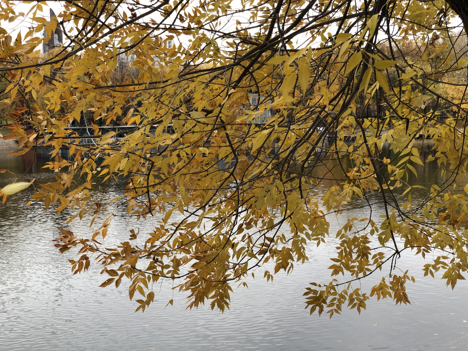 Погода в Башкирии: дождь со снегом, сильный ветер