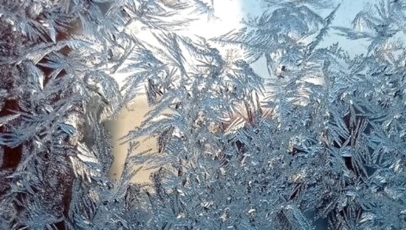 Розалия Хисаева fotobank02.ru