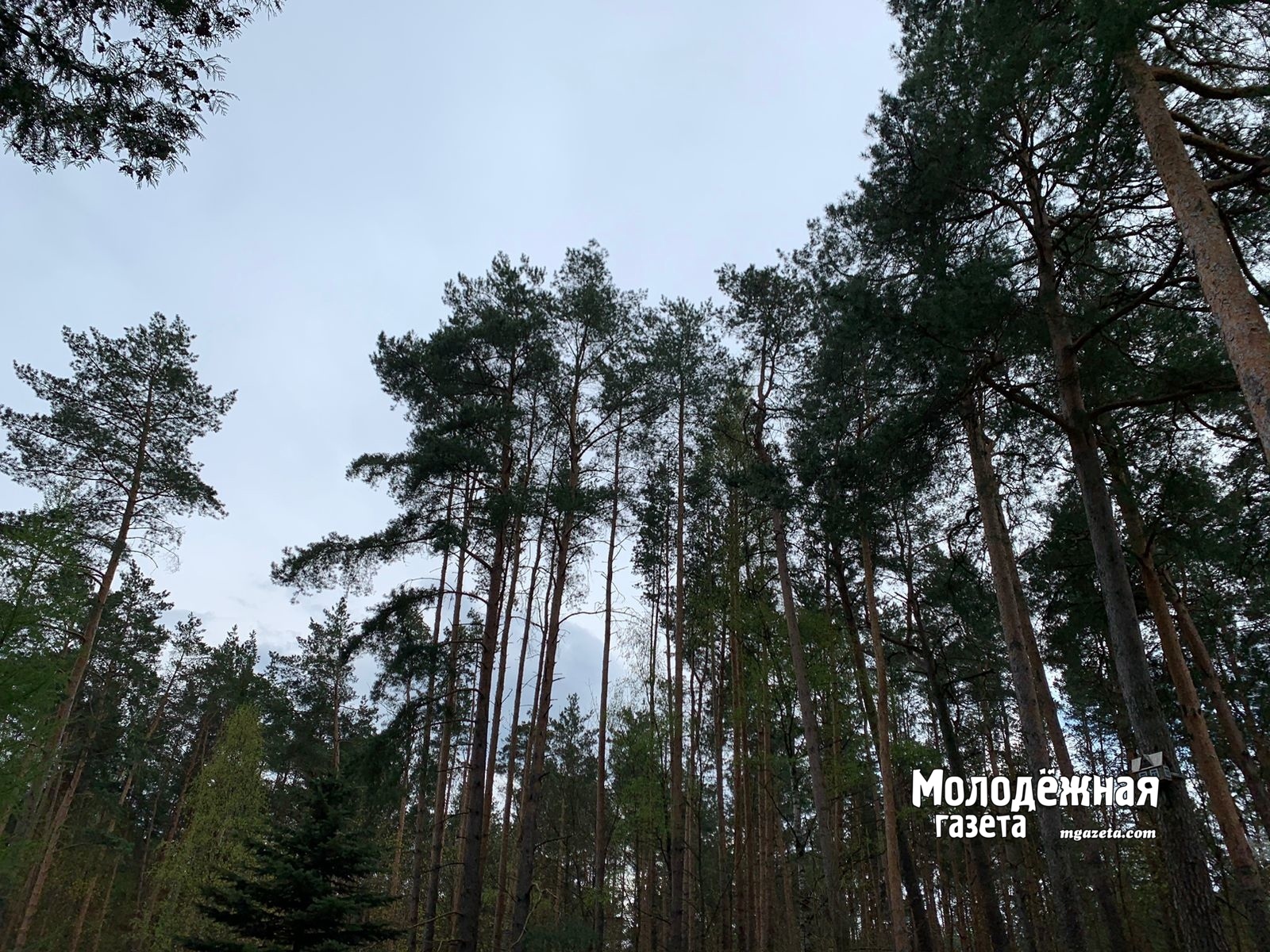 В Башкирии пропала мама с ребенком и маленькая девочка