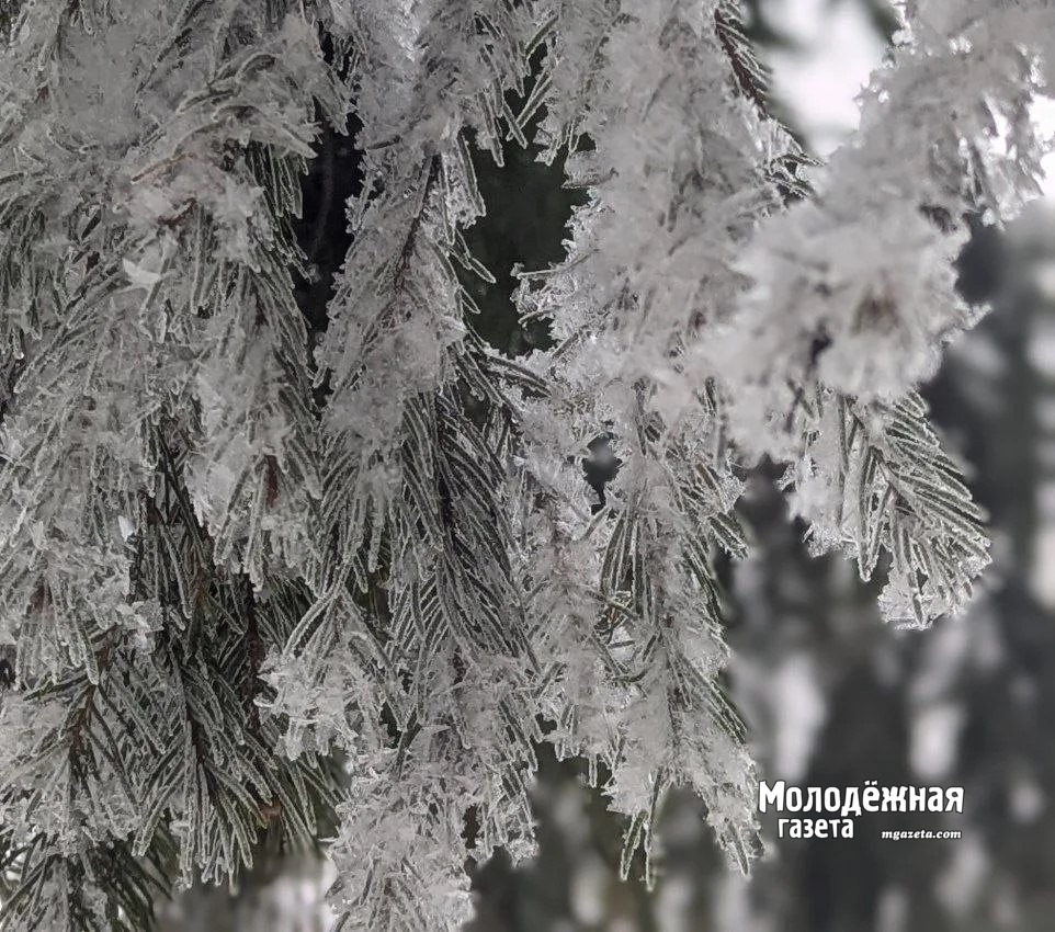 Ледяной дождь и гололед. Водителей Башкирии предупредили о непогоде