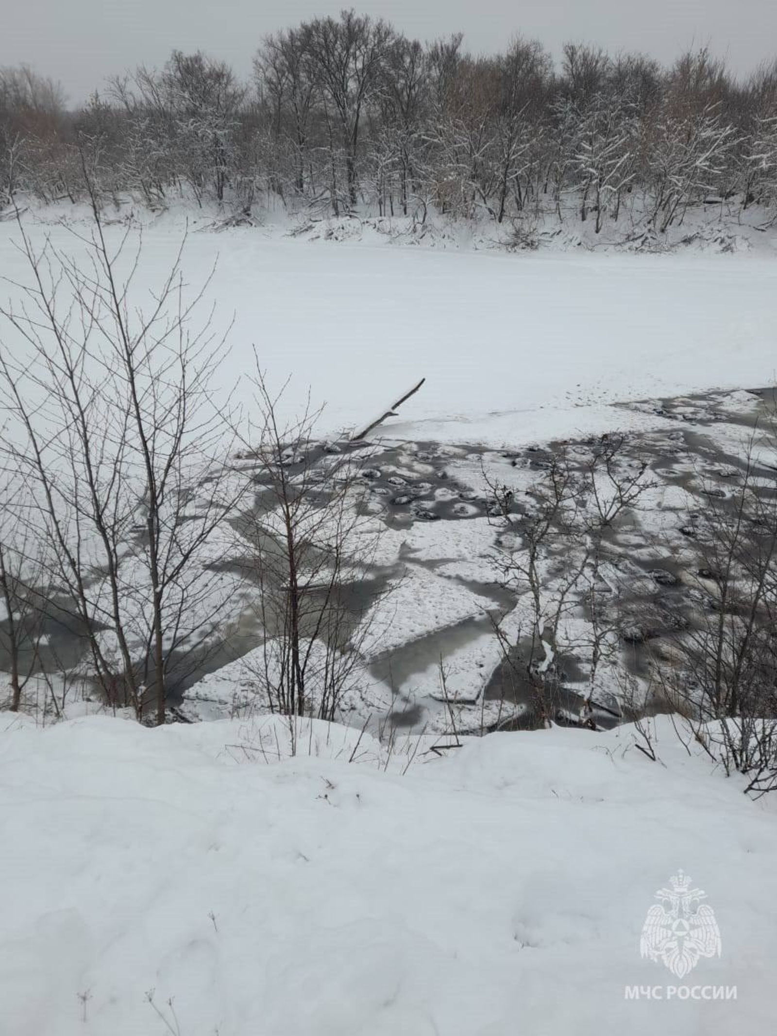 Более 200 баранов провалились под лёд в Башкирии