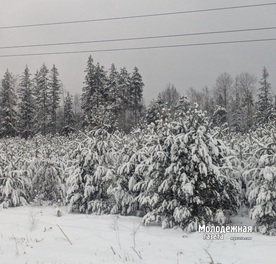 В Башкирии из-за снегопадов на дорогах введены ограничения движения