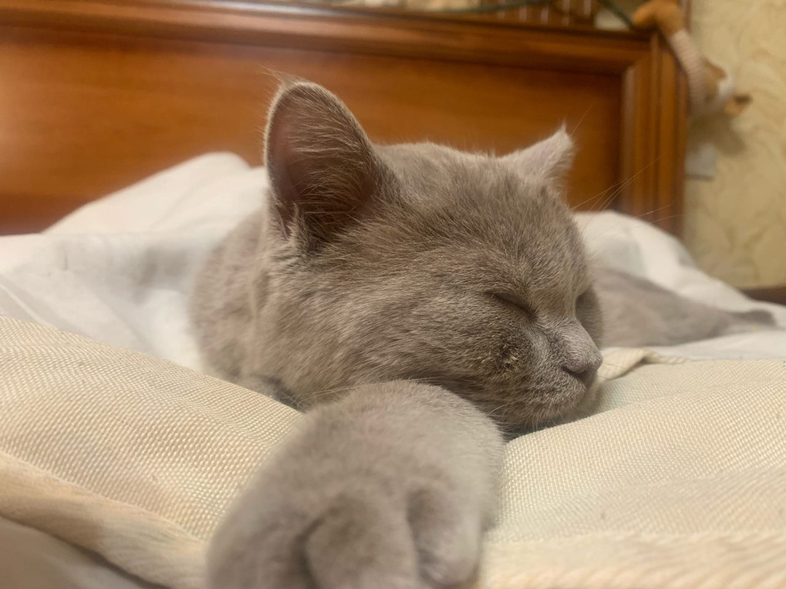 «Зимой работать вредно?» — Разбираемся вместе с экспертом Уфимского университета