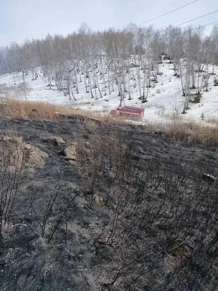 Первый в этом году ландшафтный пожар зафиксирован в Башкирии