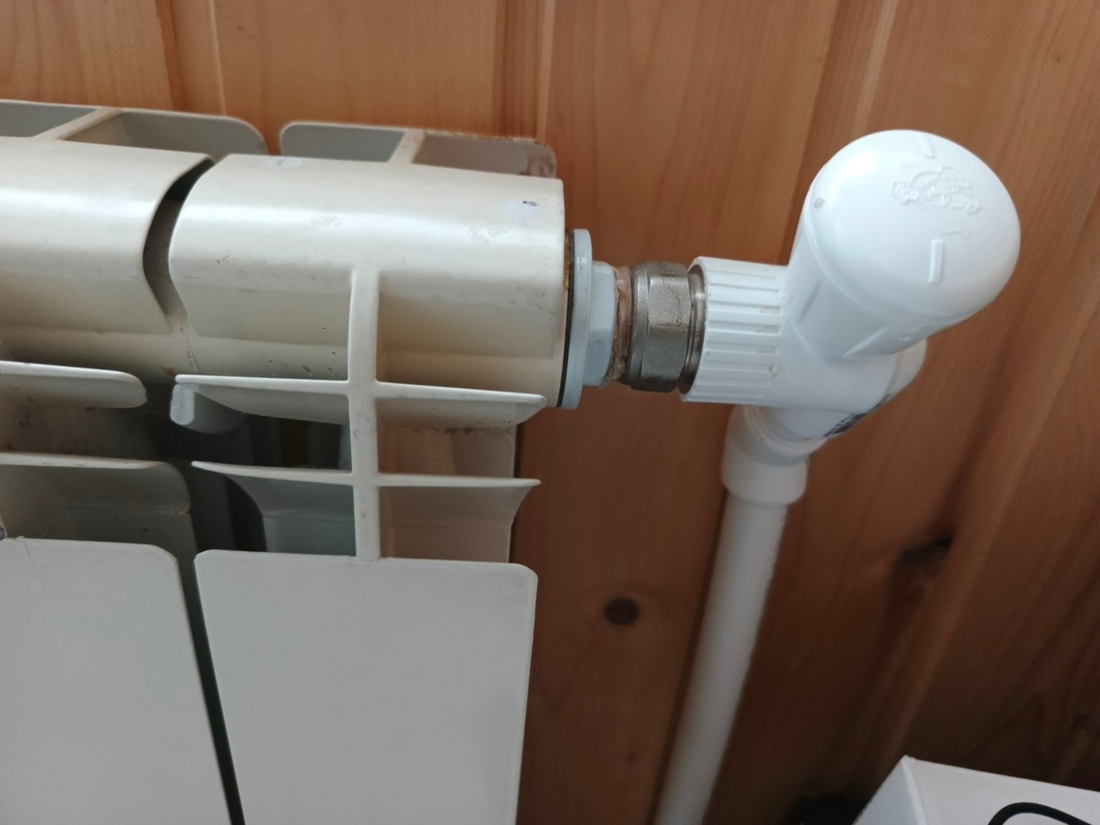 Розалия Хисаева  fotobank02.ru