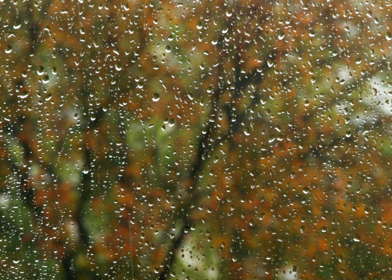 Александр Королев fotobank02.ru