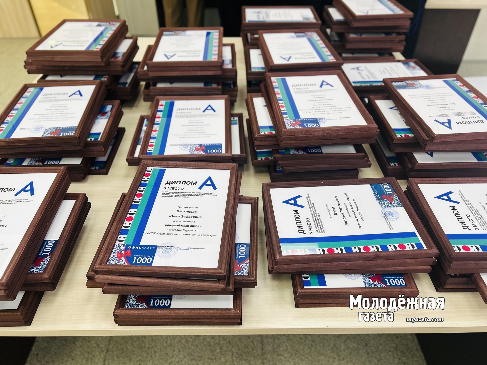 В Башкирии наградили призеров чемпионата для людей с ОВЗ «Абилимпикс»