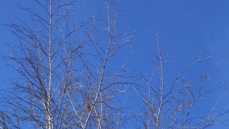 Публикация видео с БПЛА может стать помощью врагу: она запрещена