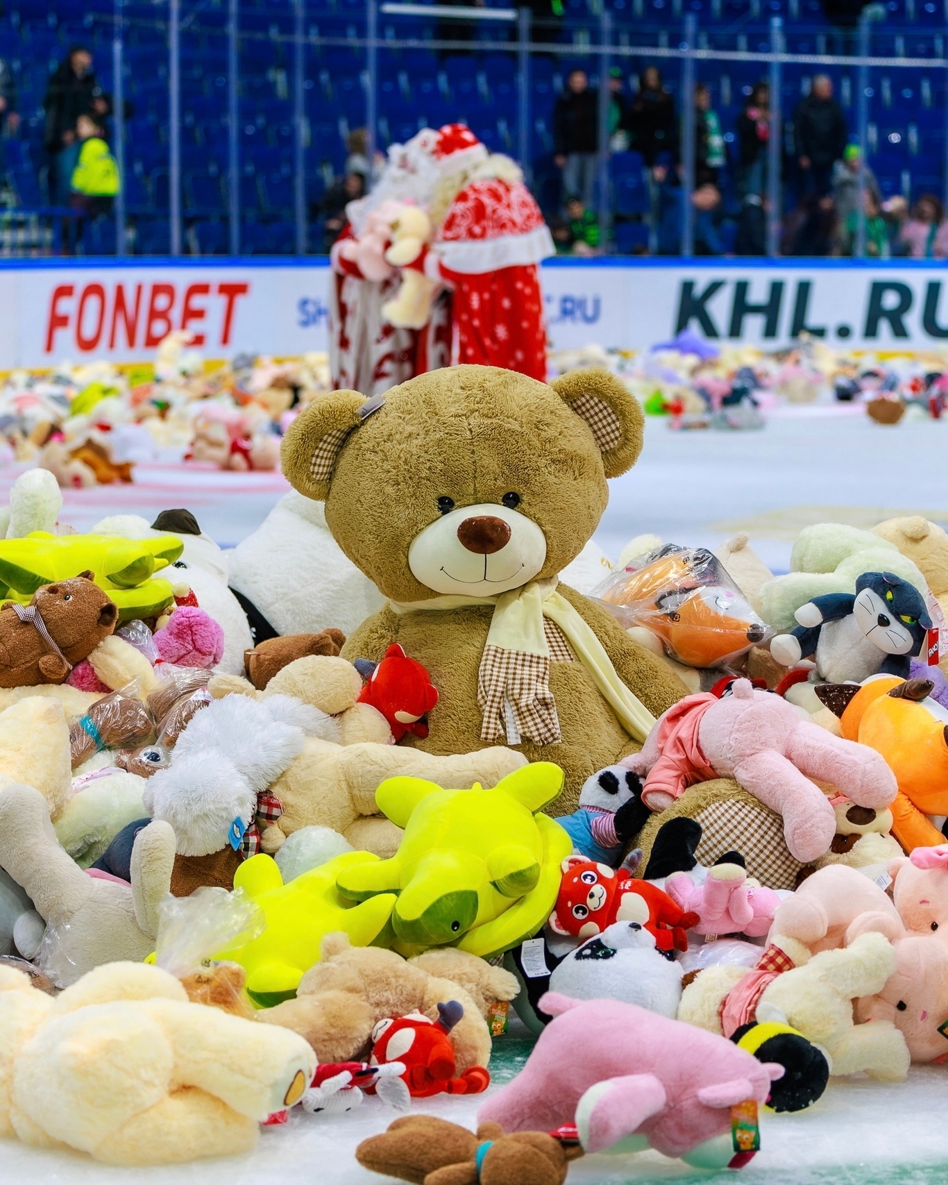 В Уфе Мишкопад собрал рекордную сумму