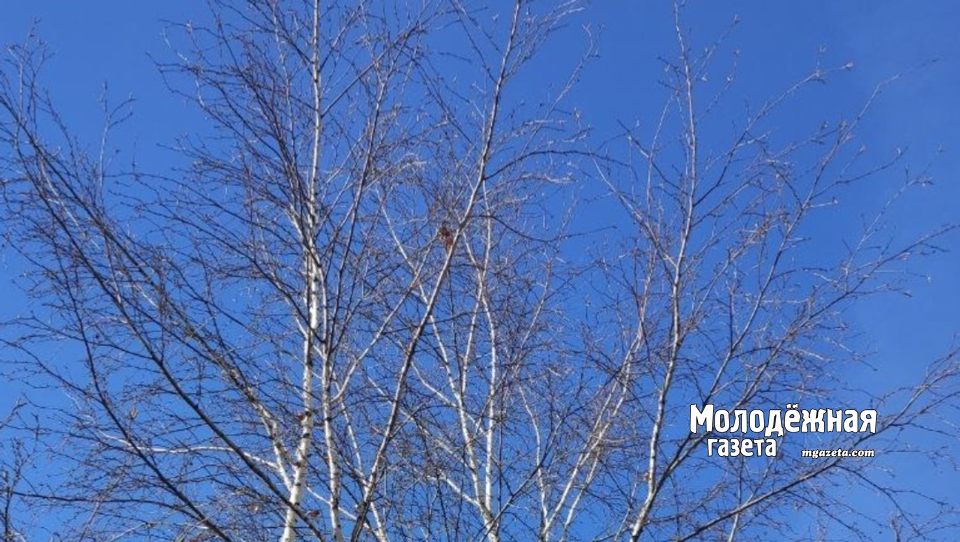 В Башкирии установили День работника опеки