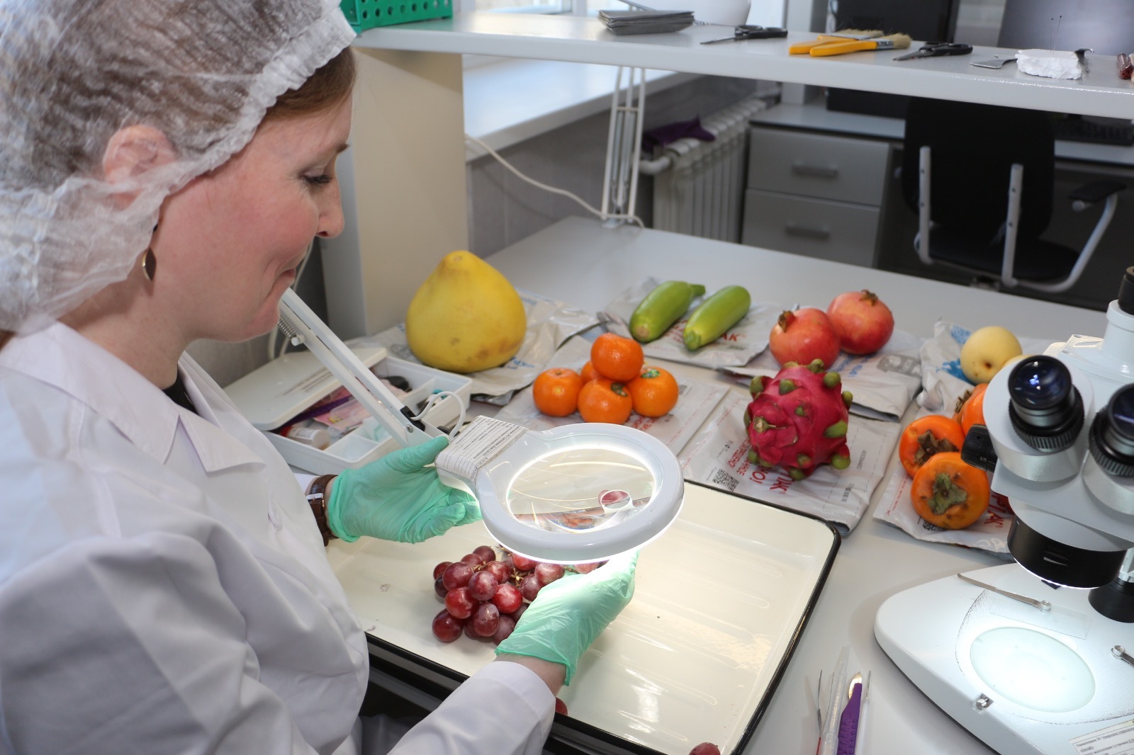 В Уфе проверили 15,5 тонны китайских фруктов и ягод