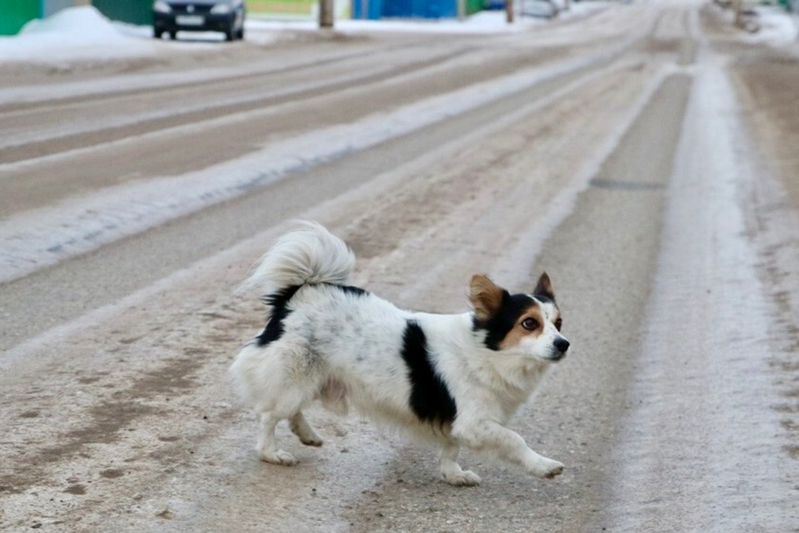 Виктор Лушкин fotobank02.ru
