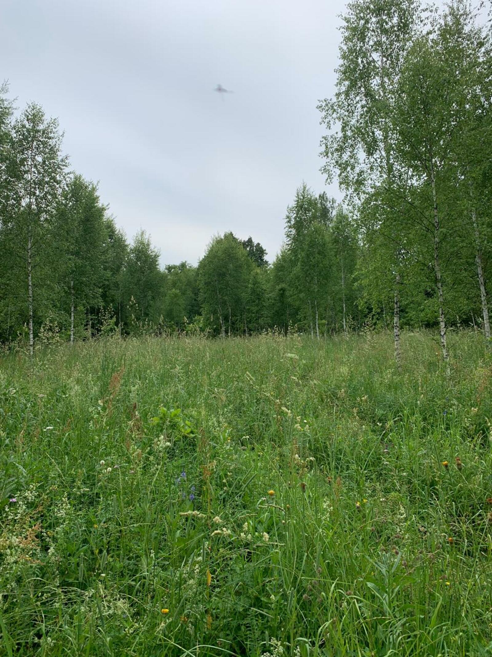 Проверка детских лагерей Башкирии выявила плюсы и минусы отдыха на природе