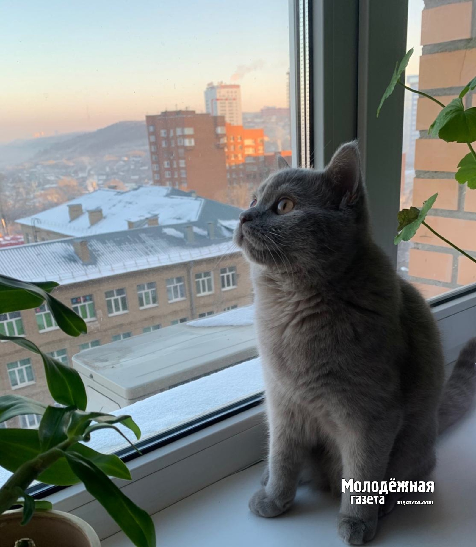 В Башкирии ожидается похолодание до -7 и гололед