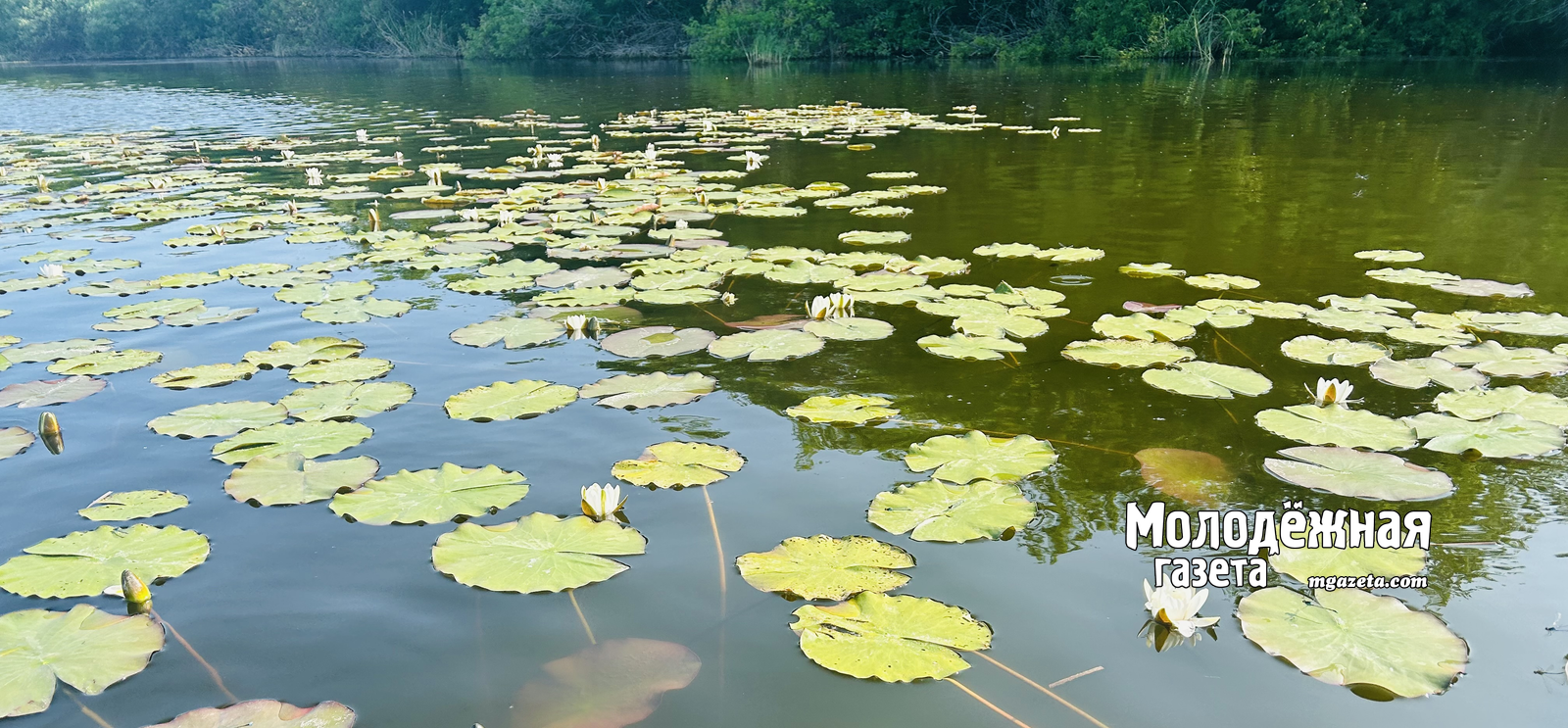 Сезон фонтанов в Уфе планируют начать раньше традиционного срока