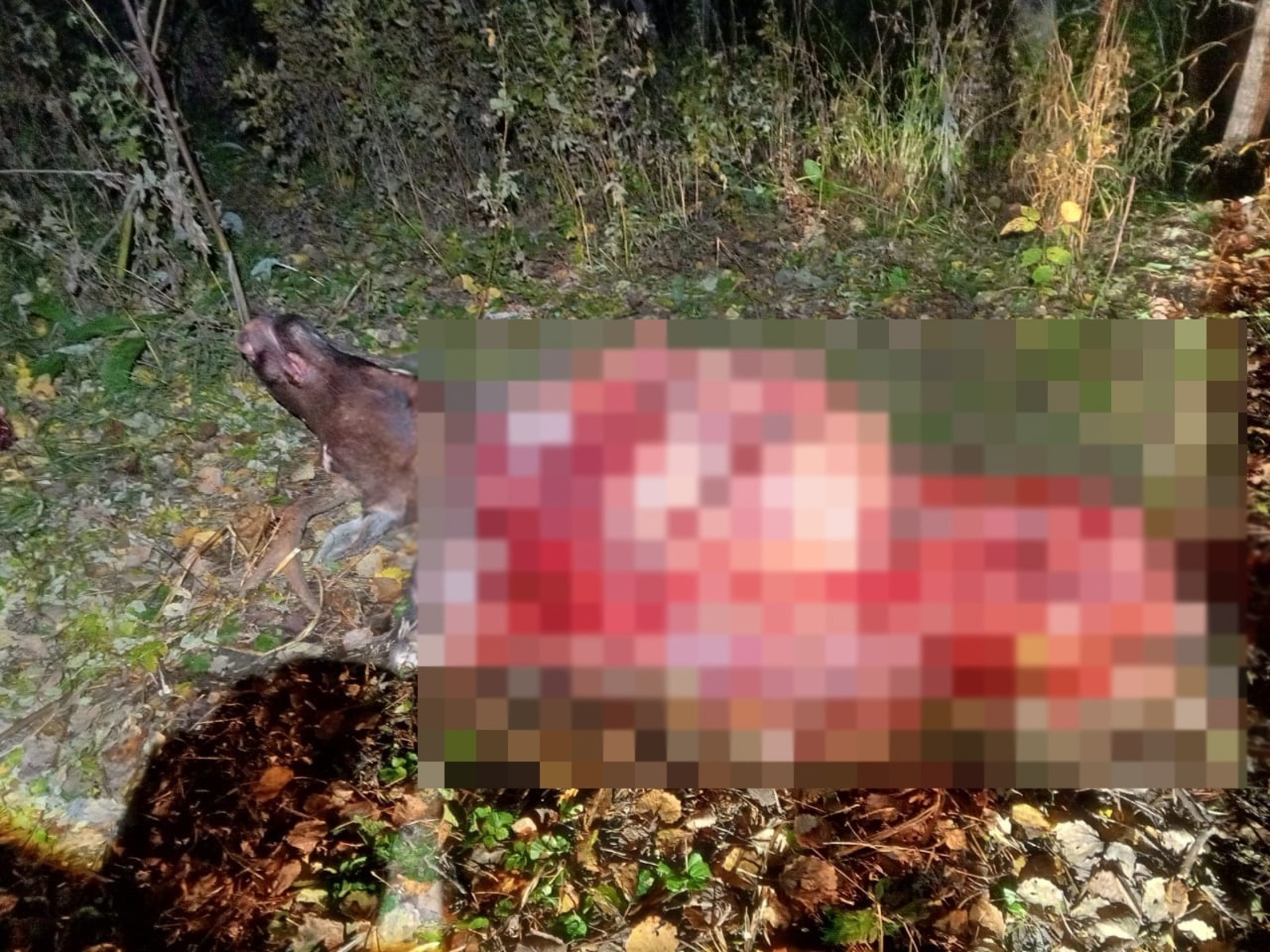 минприроды РБ