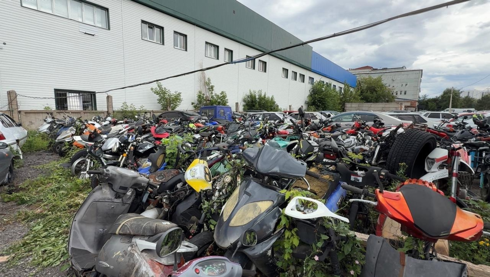 Дети рулят. Без прав, без правил