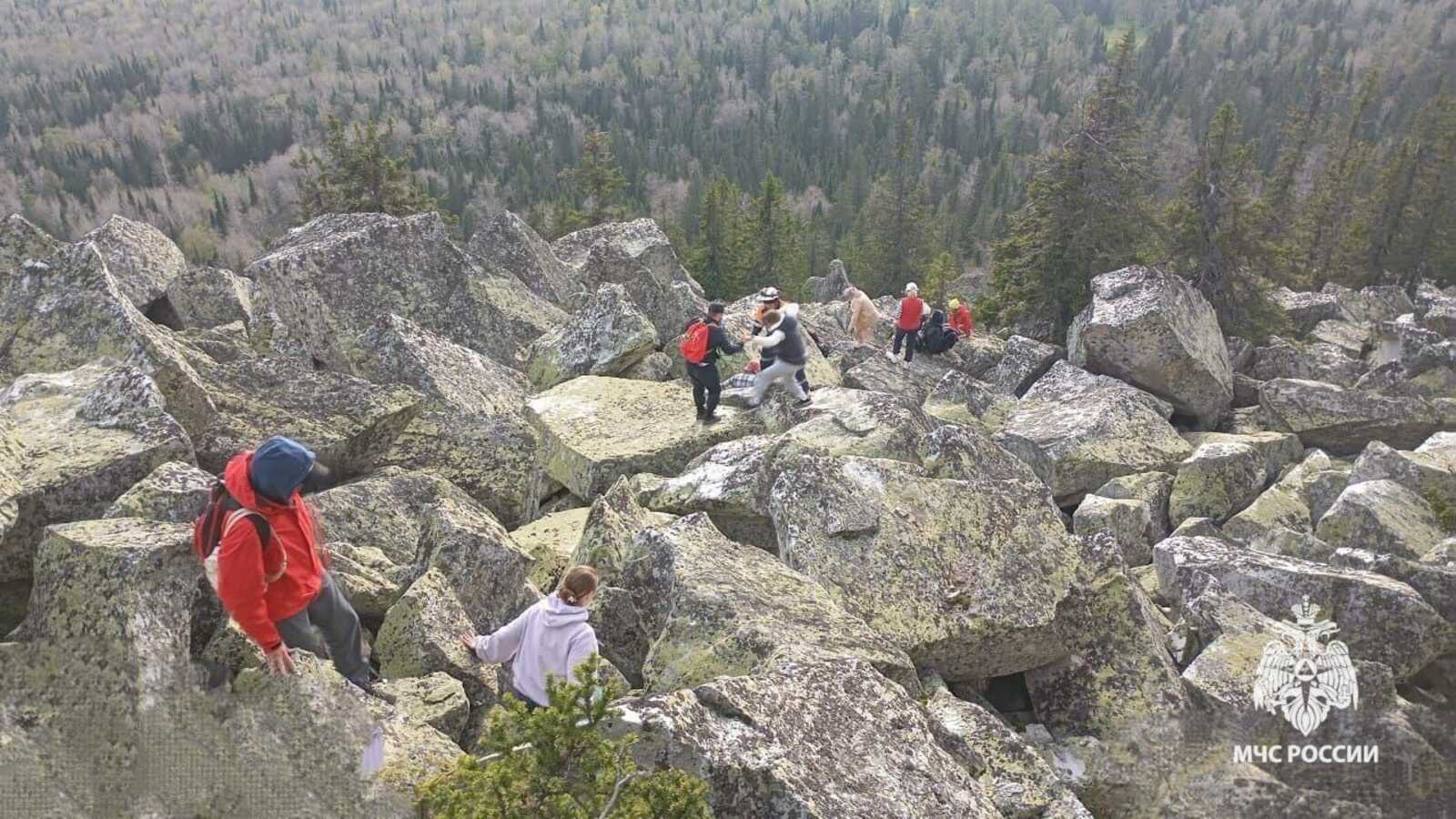 В Башкирии медведь загнал туристов на гору