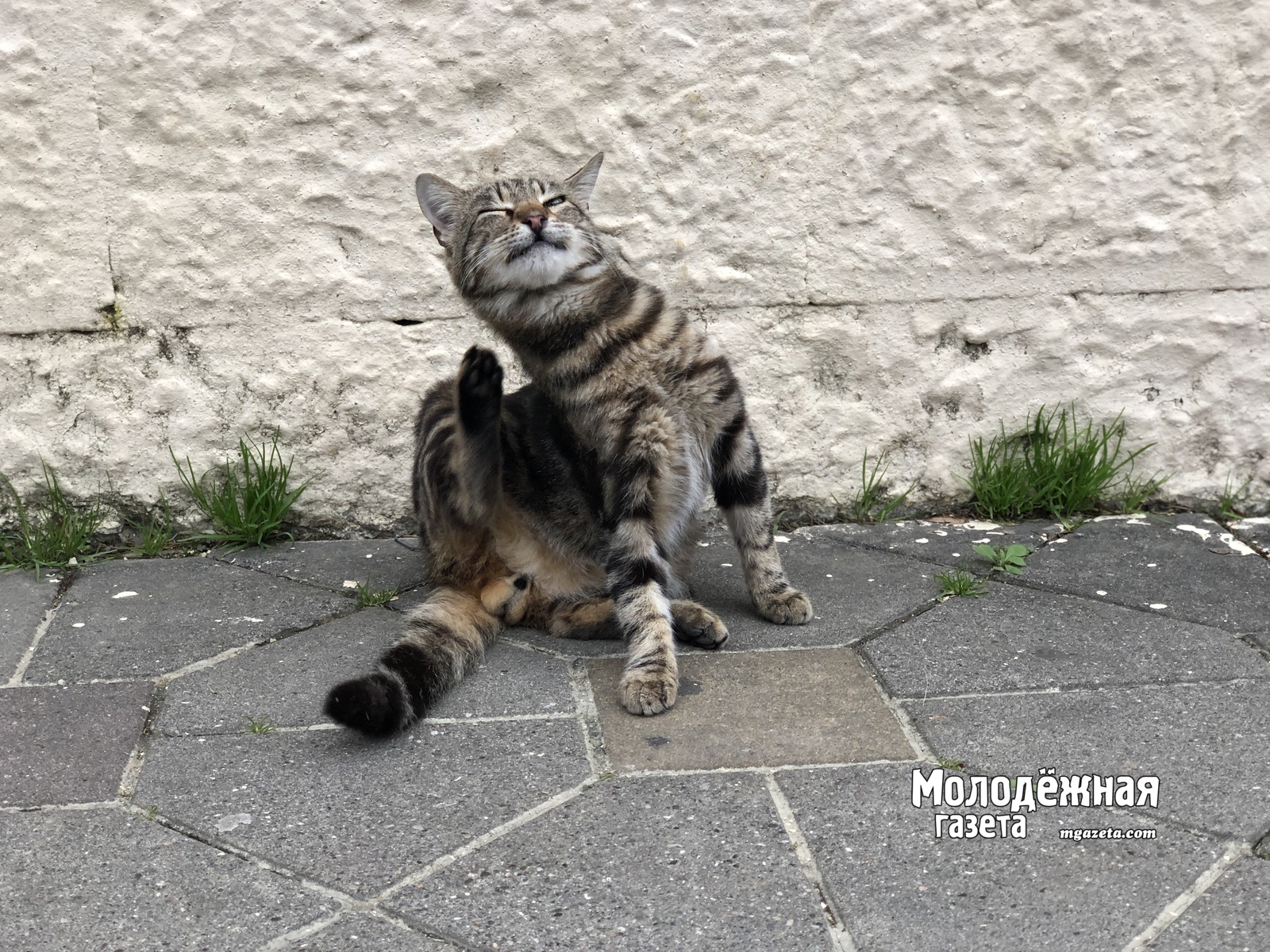 Синоптики Башкирии озвучили прогноз погоды на апрель