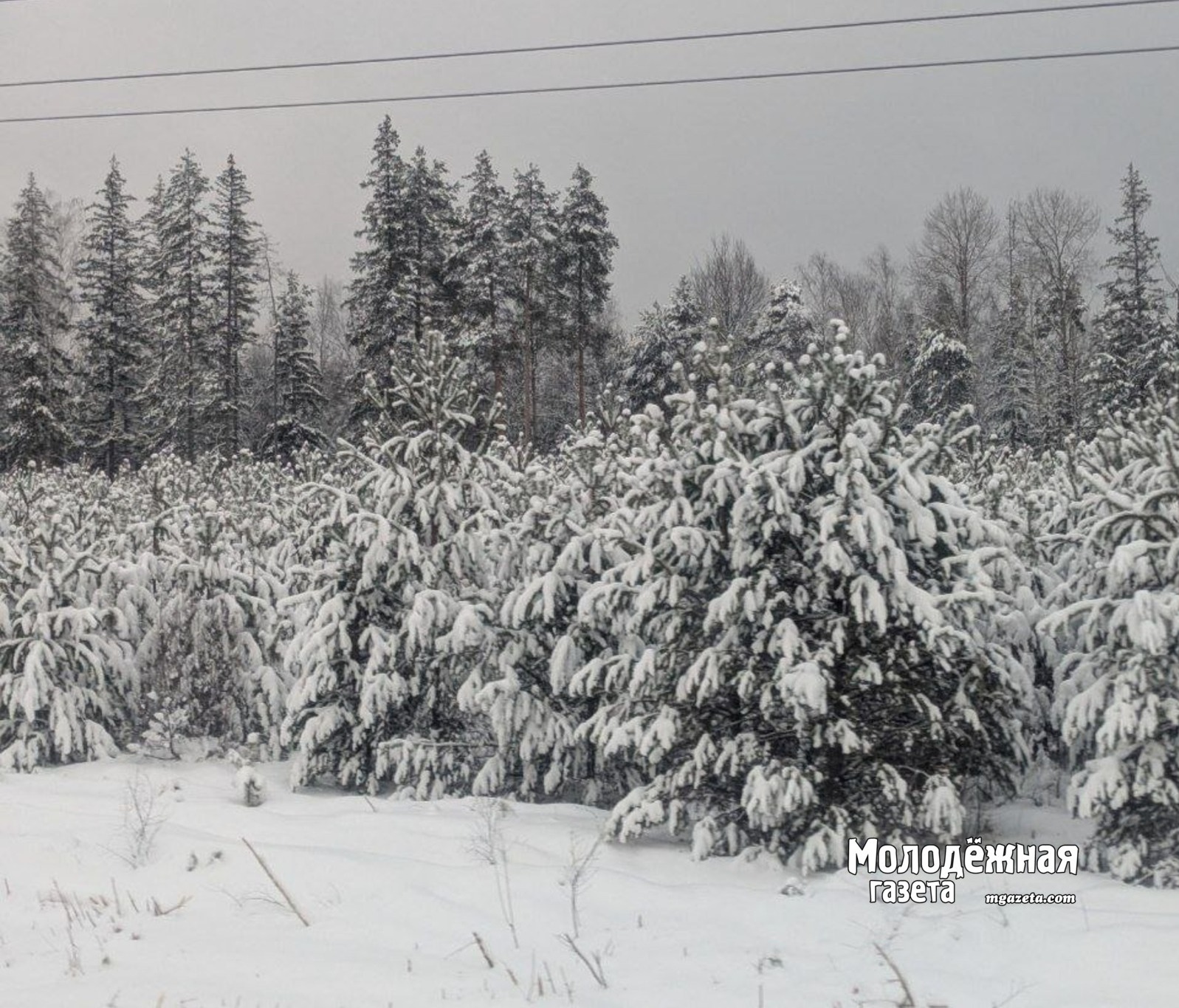 В Башкирии из-за снегопада введено временное ограничение движения