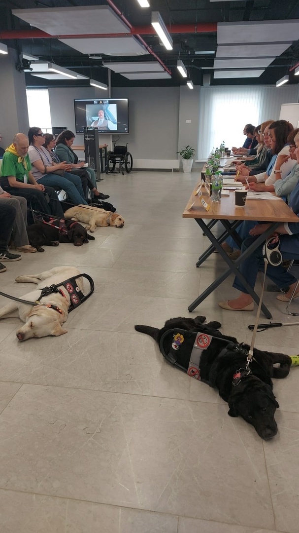 В Уфе в Межвузовском кампусе прошла встреча владельцев собак-поводырей