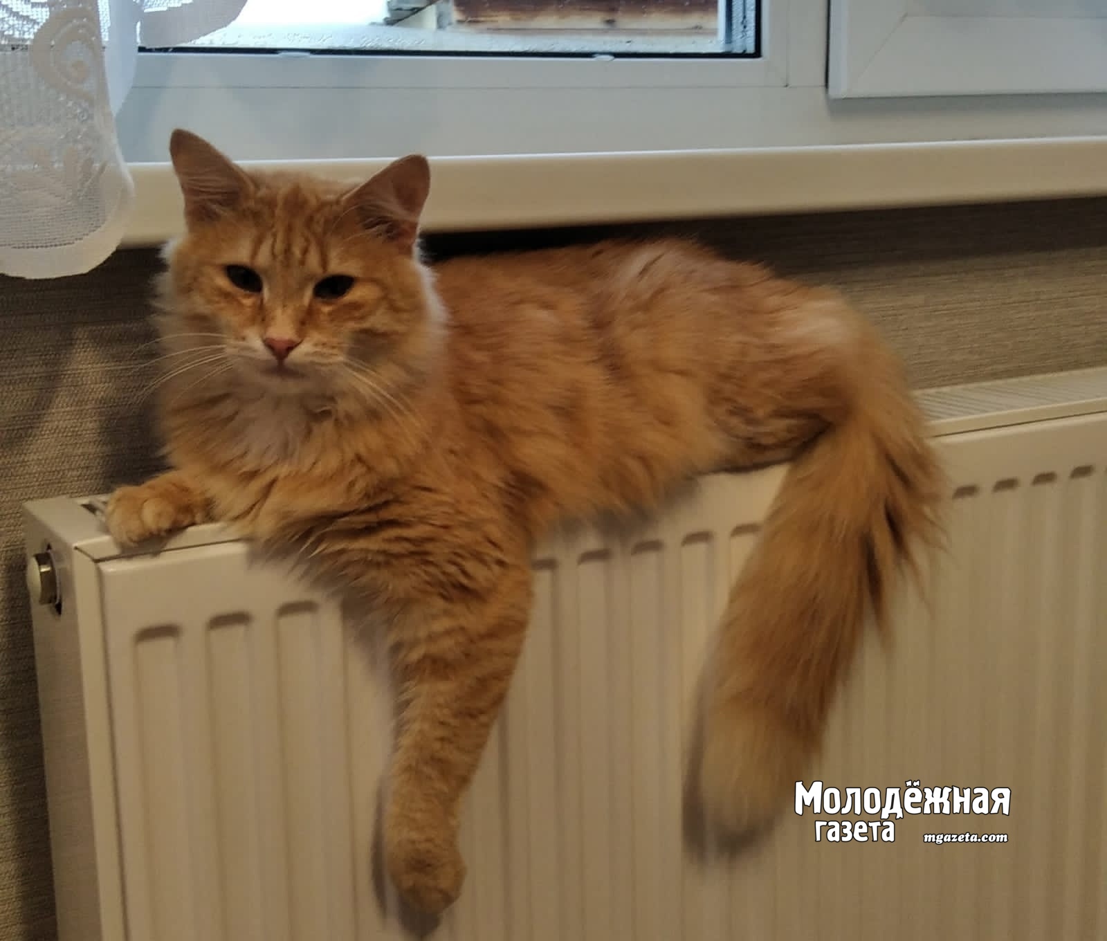 Погода в Башкирии: снег с дождём и утренние заморозки