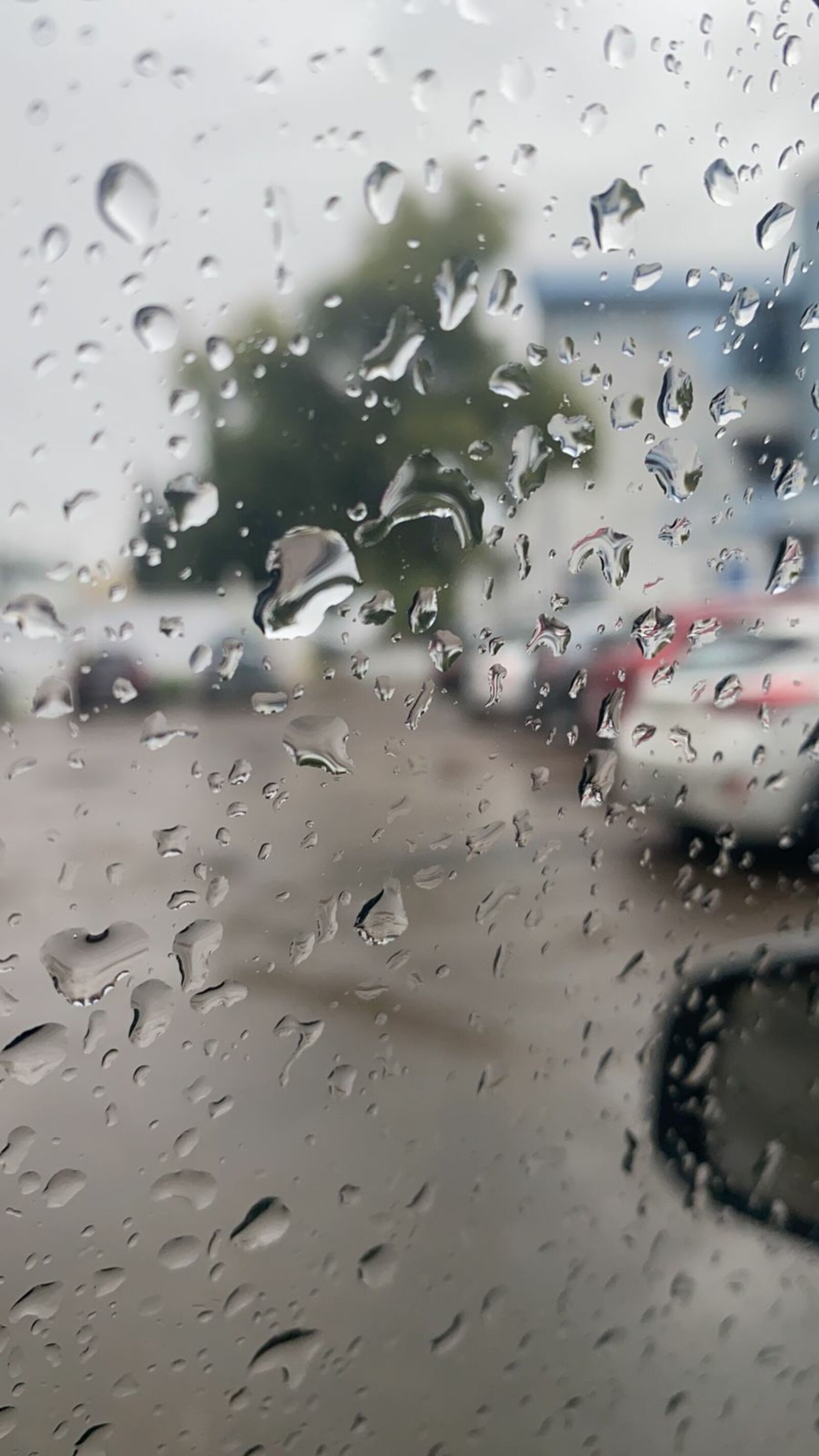 В Башкирии ожидается неустойчивая погода с дождями, грозами и градом