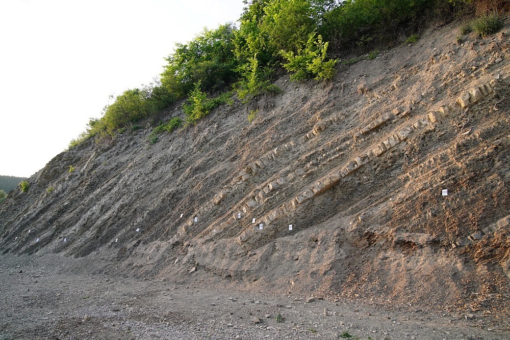Учёные оценили значимость золотых гвоздей в Башкирии для мировой науки