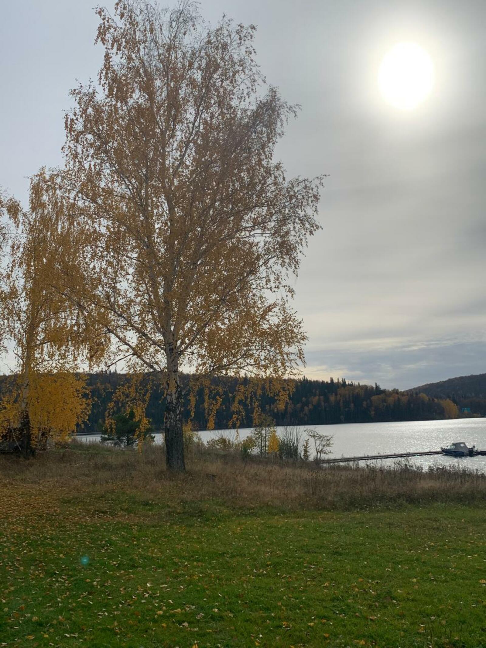 Радий Хабиров поздравил жителей Башкортостана с Днем республики