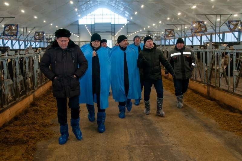 Молочная революция: как роботы-дояры впечатлили замминистра