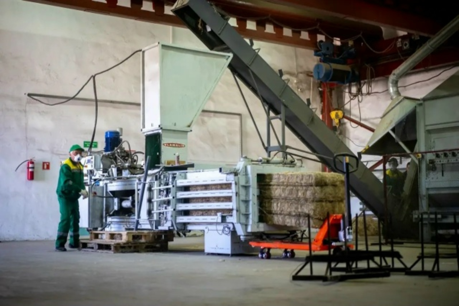 Техническая конопля из Башкирии покоряет климатический реестр России