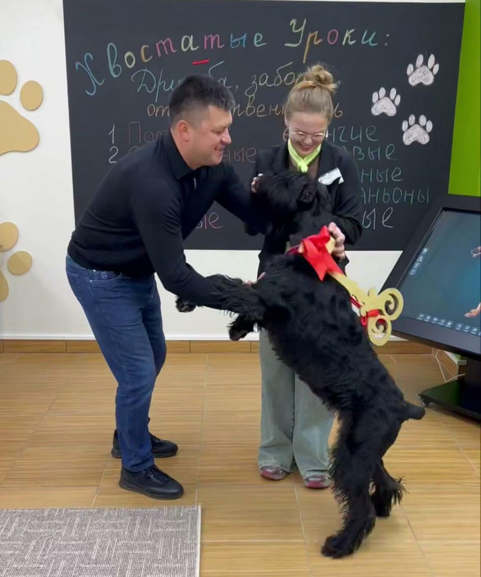 В Уфе открылся центр заботы о животных «Пушистый Клуб»